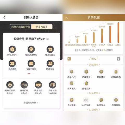 礼包本质，它不只是个兑换码