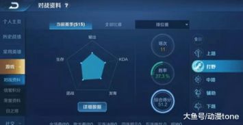 西鲁天会绝密机制破解，2026最新阵容搭配与避坑指南