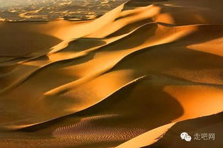 红色沙漠让数毛社惊叹,上代显卡竟能在 4K/60 帧稳定畅玩! 红色沙漠让数毛社惊叹,上代显卡竟能在 4K/60 帧稳定畅玩!