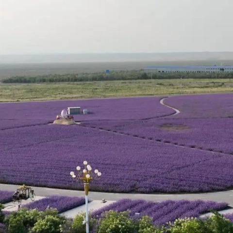 剑灵大漠进化石怎么获得？2026最新搬砖攻略+隐藏途径全解析