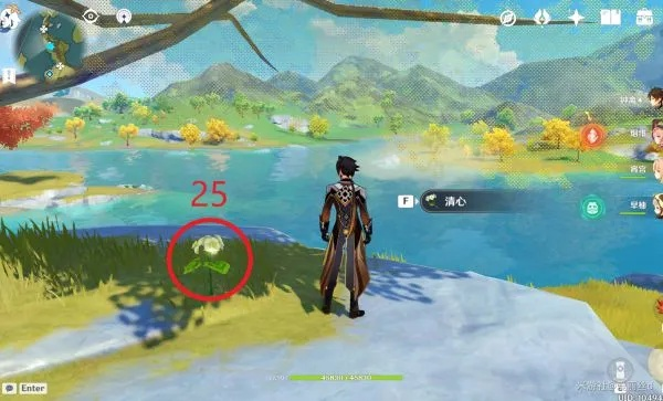 甘雨魈突破必备，清心在哪里采集？璃月山顶7大黄金点位实测