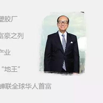 猫之城情绪武装深度解析，从词条选择到阵容闭环的完整攻略