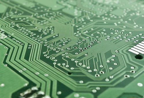 死亡陷阱的伪装,避难所科技的终极实验场