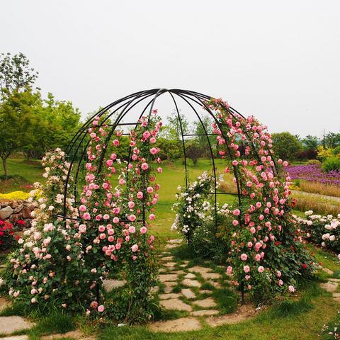 今日上线！完美国际二十周年首篇章花朝有约邀你共赴！