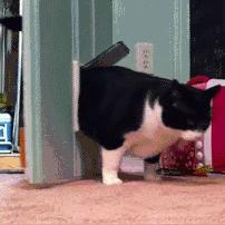 3月20日上线！超火爆红色沙漠愿望单突破300万，别错过！