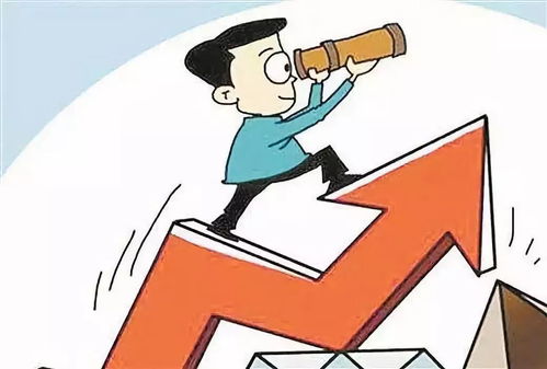 被误解的核心，适应力真正的价值