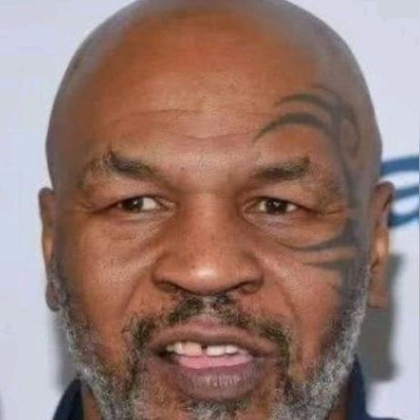 美国动物园黑猩猩发怒撞裂玻璃 疑因游客挑衅 美国动物园黑猩猩发怒撞裂玻璃 疑因游客挑衅