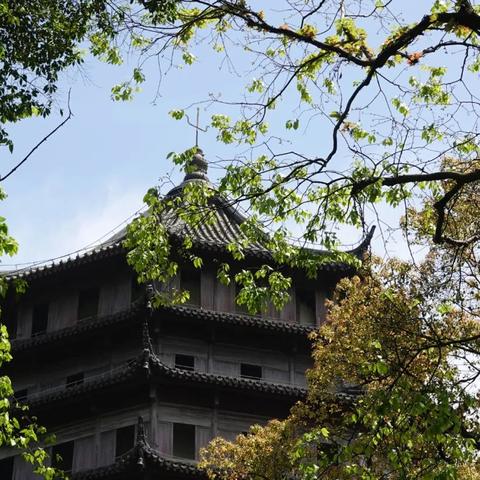 春日福利！自由篮球免费创人气角色，多款宝珠服饰焕新上线