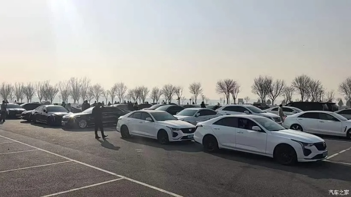 凯迪拉克车友会避坑指南，2026年最新玩法与隐藏福利全解析