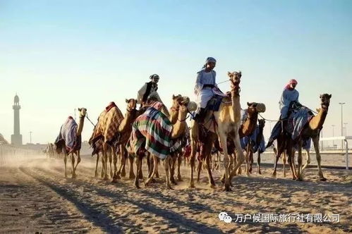 红色沙漠坦言公布过早，大饼难圆正全力重塑新作