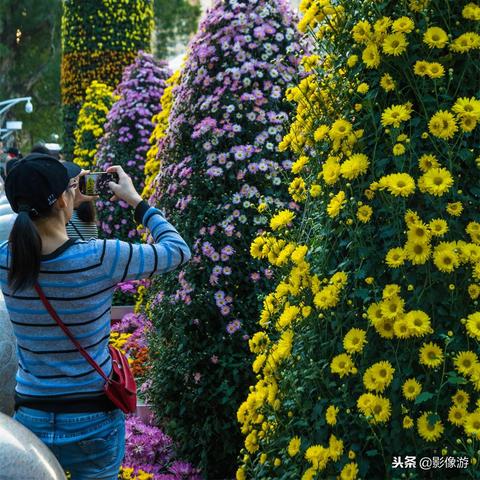 被低估的2017，不只是盛世狂欢四个字
