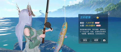 2026年鱼的游戏终极指南，从钓鱼模拟到养鱼治愈的7大爆款类型全解析