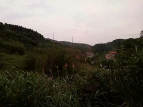 草庙村副本的真实定位，被低估的25级资源枢纽