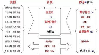 回力标飞不回来？2026年翼型角度与投掷手法的隐藏关联揭秘
