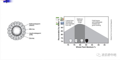 版本内核，被误解的冷却机制
