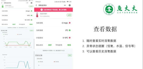 丝界类型选错=白玩300小时?2026年新手必看的精准匹配指南 丝界类型选错=白玩300小时?2026年新手必看的精准匹配指南