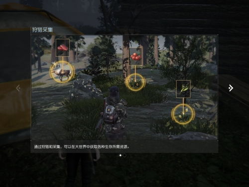 死亡岛终极生存手册，2026年新版武器刷取+联机修复全方案