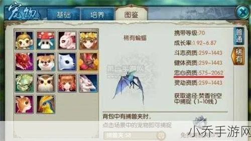 诛仙宠物技能终极配装密码，2026年Q1双场景实战数据全曝光