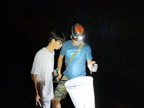 17岁男生发现新物种筷子蛇 直接发SCI期刊