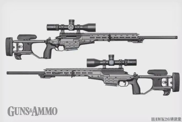 TRG-21狙击步枪深度解析，从芬兰雪原到战术巅峰的精准进化论