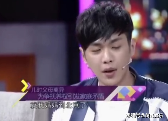 2026年张健限制高消费真相，张若昀父亲被执行人类型全解析与明星家庭债务突围指南