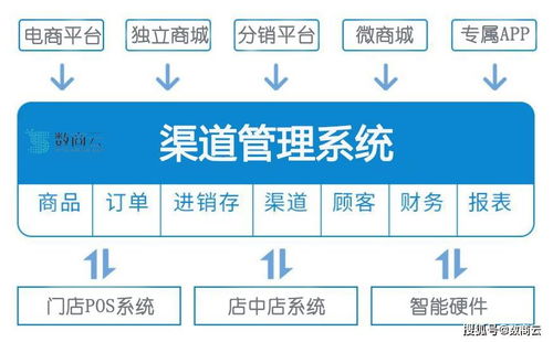 胡家刀法实战全解，2026年最新克制链分析与七式破局要诀