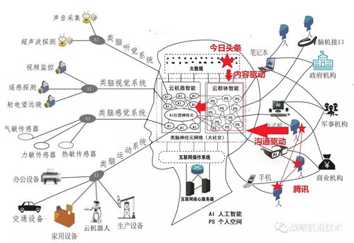 凤巢地图类型完全指南，2026年最新通关路线与隐藏机制揭秘