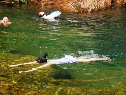 2026年考古学奖励深度拆解，从化石龙到安其拉幼崽的隐藏获取逻辑