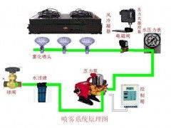 一、41717平台核心机制，你以为的小游戏其实是精密流量机器