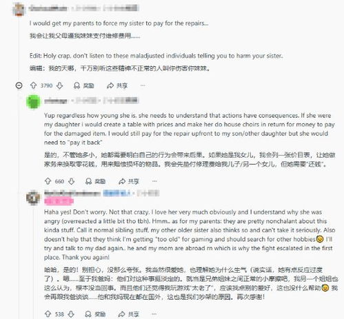 16岁玩家Steam掌机被姐姐怒摔!官方维修高达225欧元