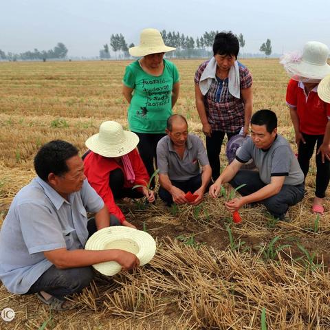 魔兽真三国无双2026Q1，从鱼塘到王者的3个认知断层解析