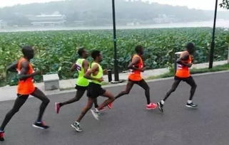 马拉松被大量差评围攻，玩法太难太硬核成玩家吐槽焦点