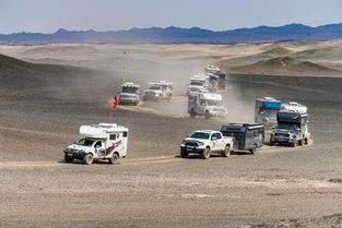 2026春季桃园越野必看！3大隐藏路线+装备避坑全攻略