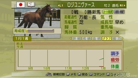 马场大亨6配种公式揭秘，2026春季赛马的3个隐藏遗传机制与实战案例