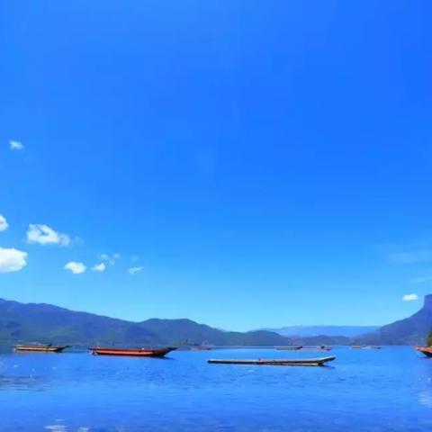 流星洛克人 完美合集在线功能细节大揭秘，玩家必看！