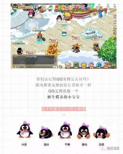 Q宠神奇之旅2026终极攻略，3小时点亮全国地图的隐藏机制揭秘