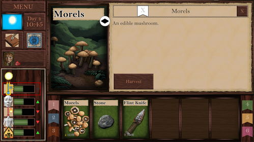 幻剑术类型解析，四把武器四种生存法则