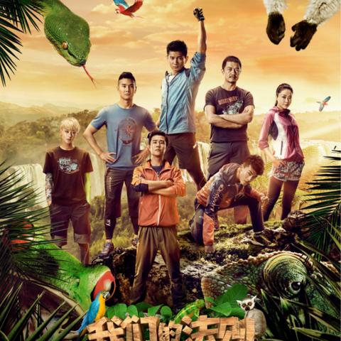 改名活动的四大类型与触发机制