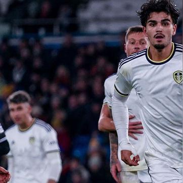 虐杀原形2终极进化指南，2026年最新能力配点与速通路线