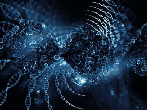 一、时空错位的永恒对决,WE与TPA的战术基因溯源 一、时空错位的永恒对决,WE与TPA的战术基因溯源