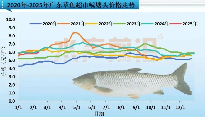 巨滑舌鱼钓不到？2026年Q1全平台刷新机制与暴利路线深度破解
