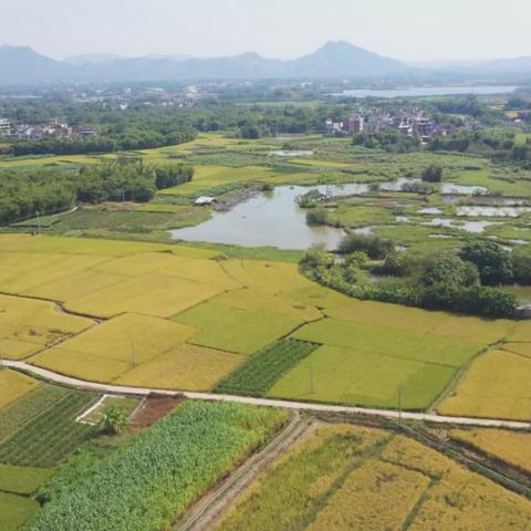 腾讯版小龙虾重磅登场！无需部署，下载即可畅玩