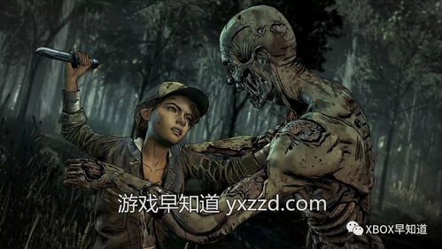 行尸走肉400天是什么类型？2026年选择取向游戏终极指南