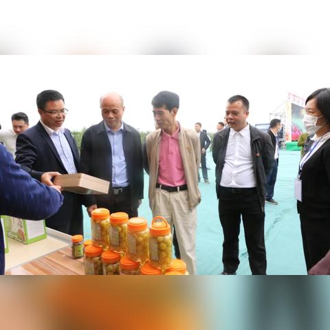 想玩免部署、下载即用的腾讯版小龙虾？它正式上线啦！