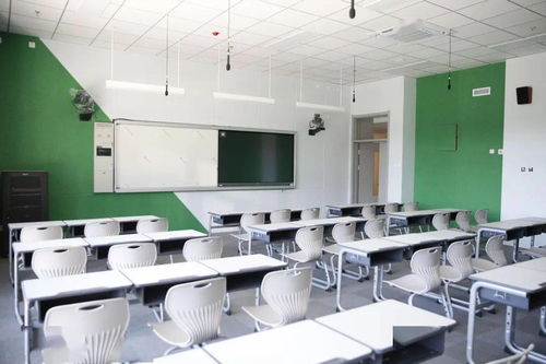 天龙拔步2026年最新评测，伤害翻倍秘籍与3套T0搭配曝光