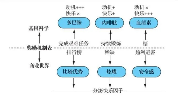 一、邪恶净化类型的底层逻辑重构