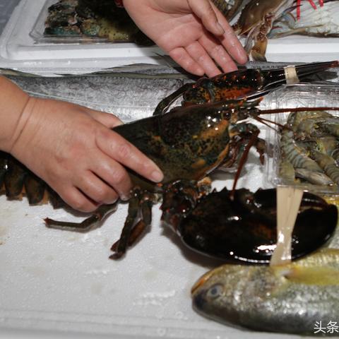 全民疯抢!60岁大爷大妈也开始养龙虾了 官方:极易引发网络攻击、信息泄露 全民疯抢!60岁大爷大妈也开始养龙虾了 官方:极易引发网络攻击、信息泄露