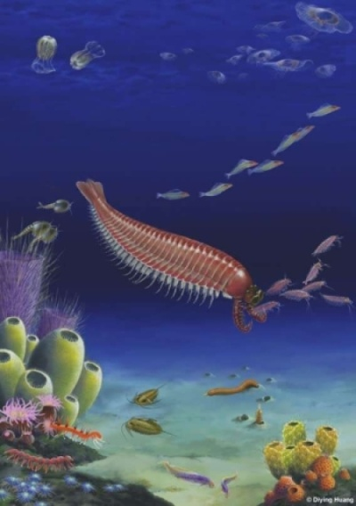 深海活化石的生物学定位