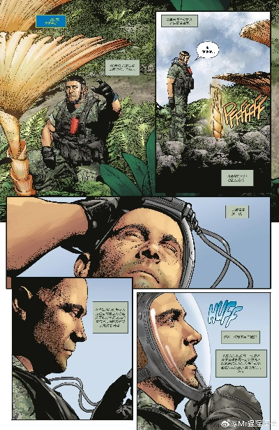 33号远征队同名漫画改名停售引争议，官方态度转变将重新创作