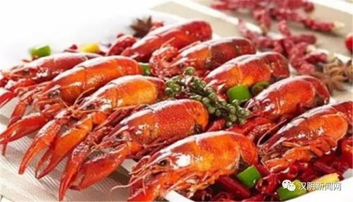 27岁青年养龙虾一周获利10万，一年实现三次创业进阶之路